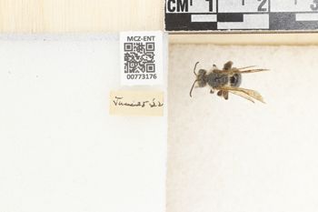 Media type: image;   Entomology 773176 Aspect: Labels